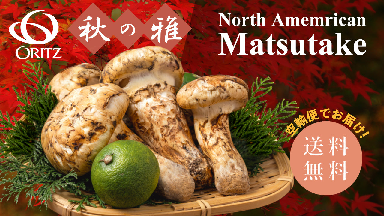日本・米国向け】北米産松茸 ご注文受付中です！ – Oritz Shop