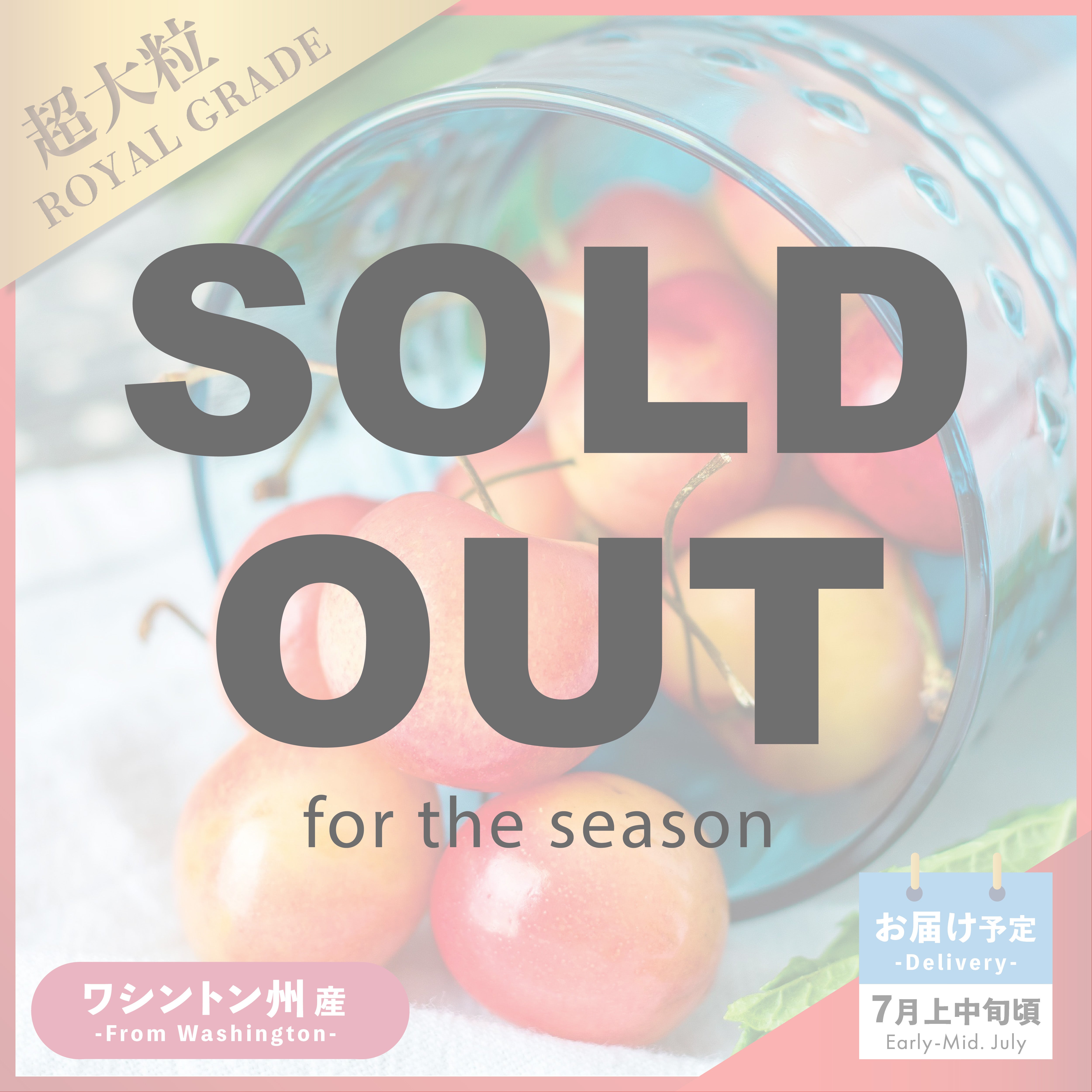 ワシントン州産】超大粒ロイヤル・レイニア種 – Oritz Shop