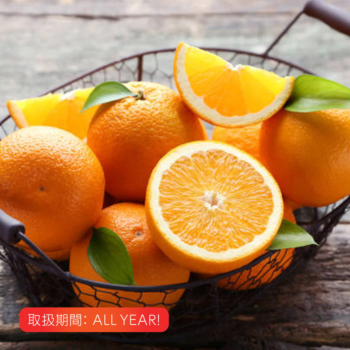 Oranges (L) – Oritz Shop