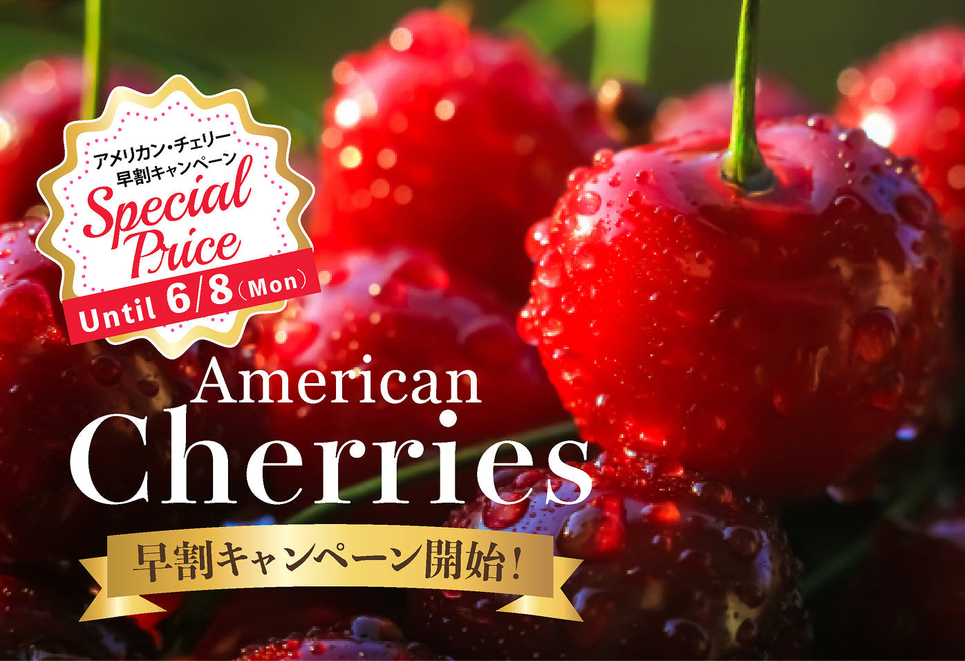 🍒 Oritzgift 季節限定「アメリカンチェリー」販売開始！ 🍒 – Oritz Shop