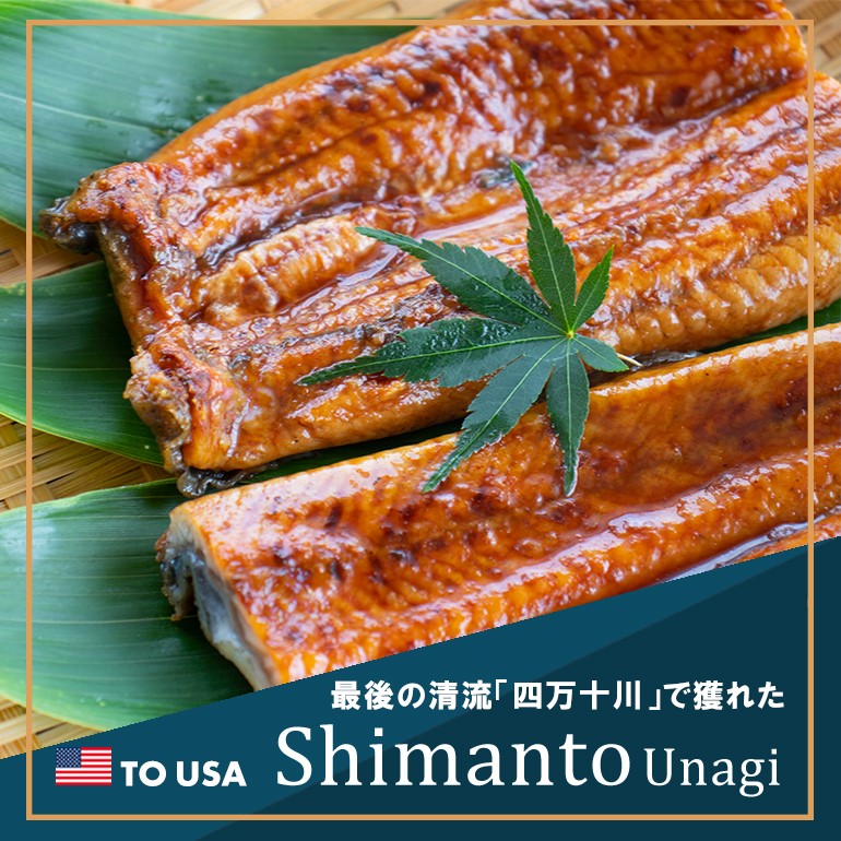 Oritz Shop | 日本へ季節の贈り物！アメリカンチェリーにお中元 送料