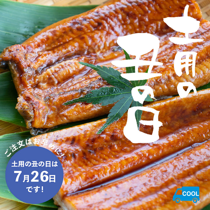 日本産四万十うなぎ 蒲焼き – Oritz Shop