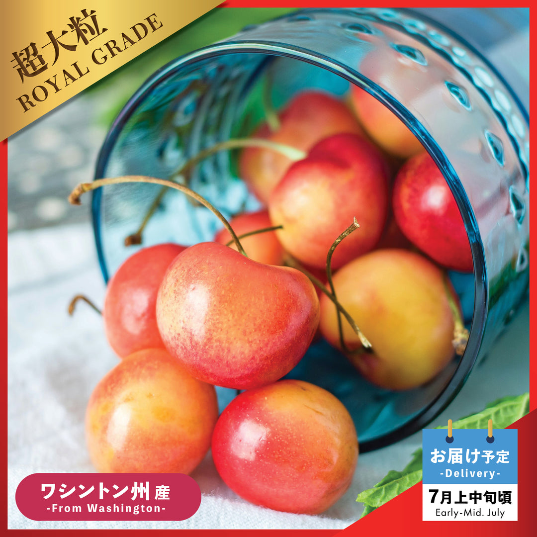 北米産チェリー – Oritz Shop