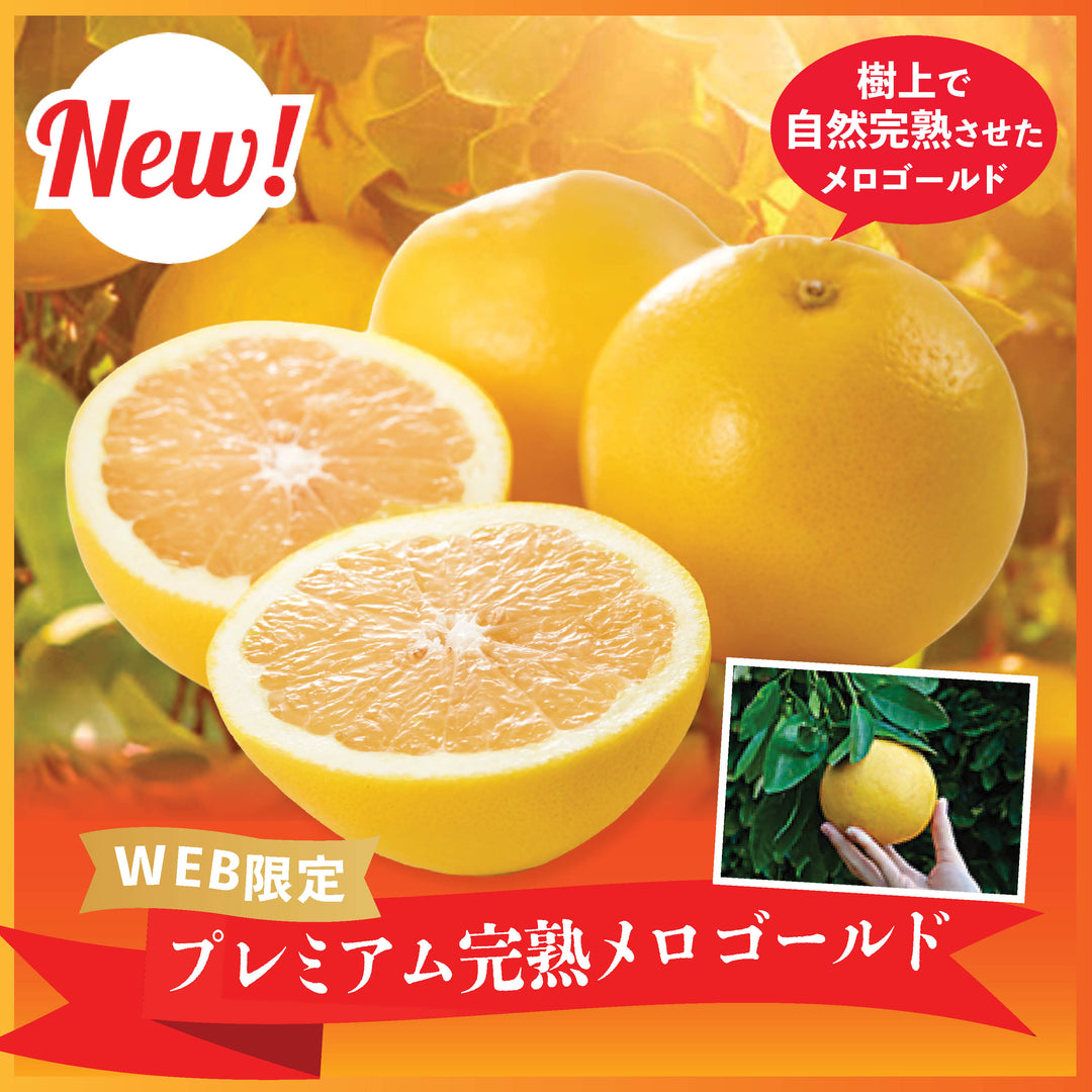 フルーツ – Oritz Shop