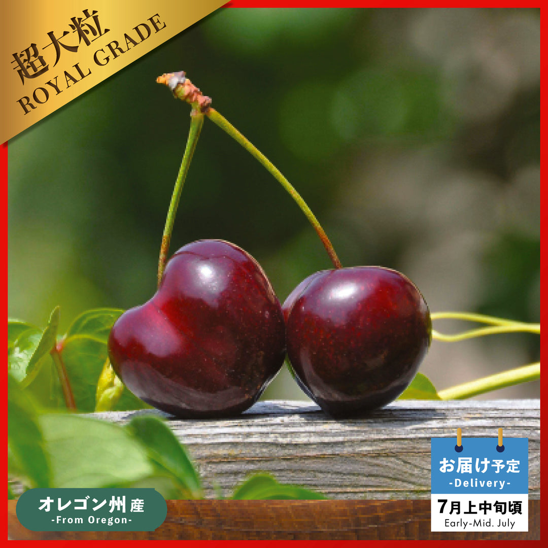 北米産チェリー – Oritz Shop