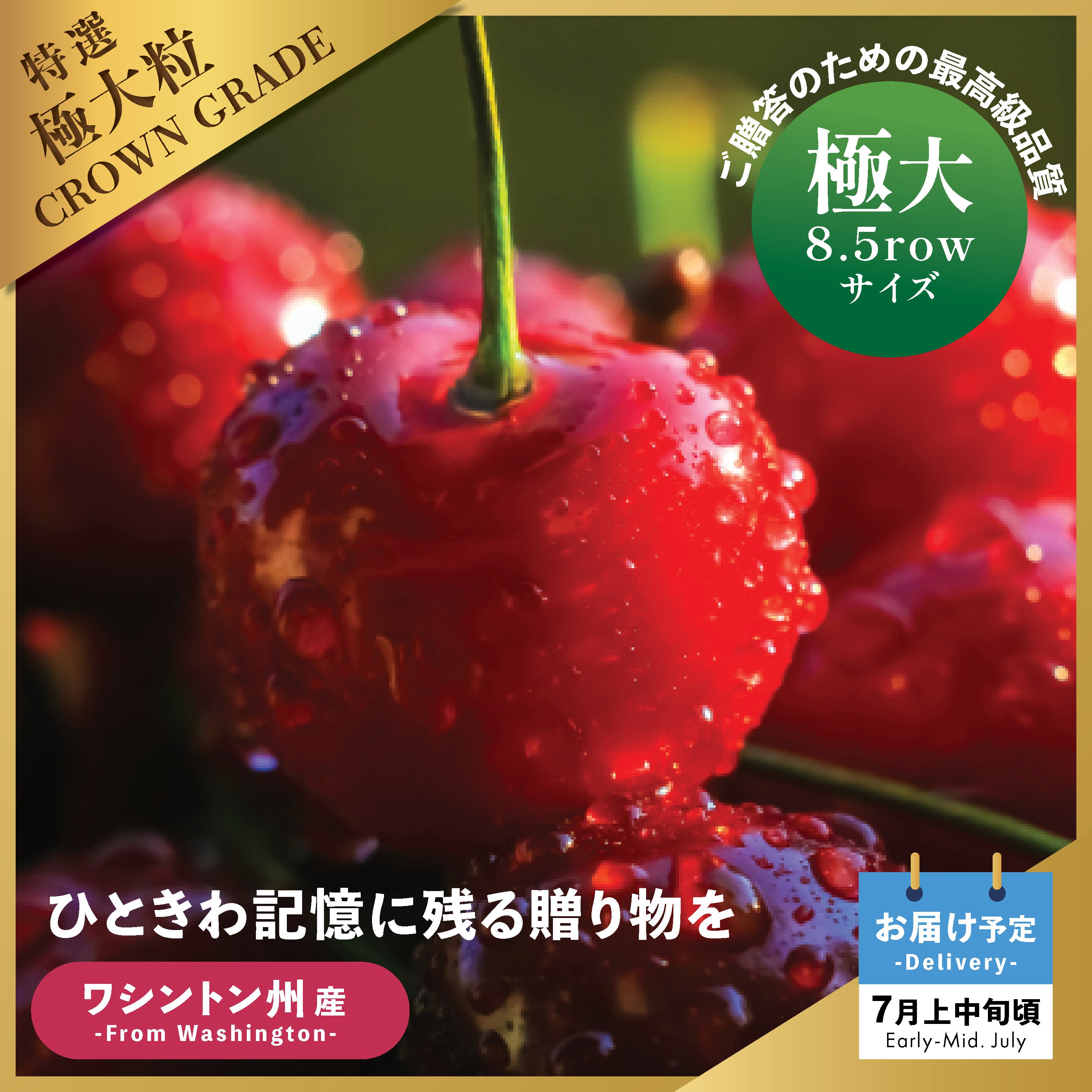 ❤❤チイコ（3点）大粒美品〚オパール 〛✨✨ Oritz Shop | 日本へ季節の贈り物！アメリカンチェリーにお中元 送料