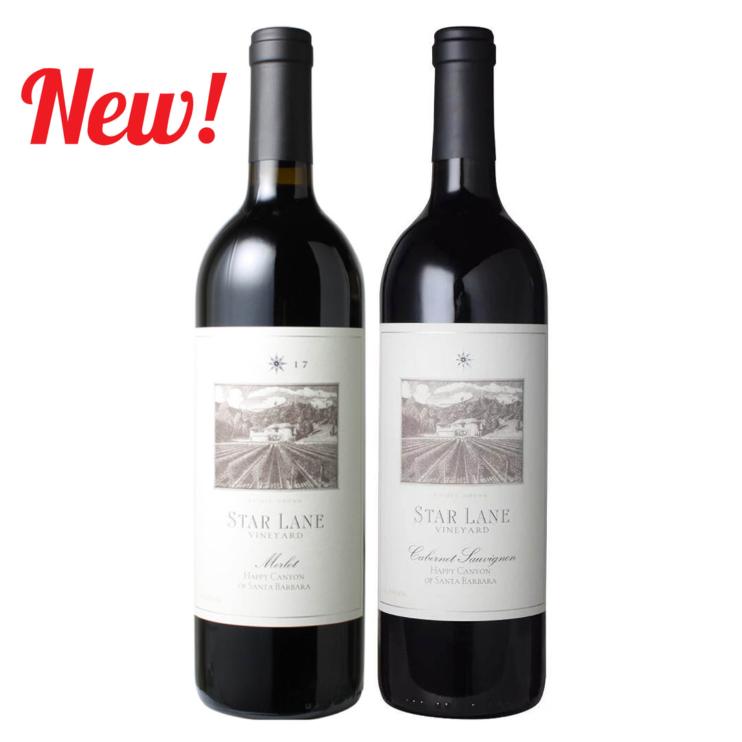 早い者勝ち　9本セット　ダニエルサージュ　カーゼコリーニ　自然派ワイン カーヴ・ダゼブルゴーニュ・ブラン オーク・バレル [2022] | すべての