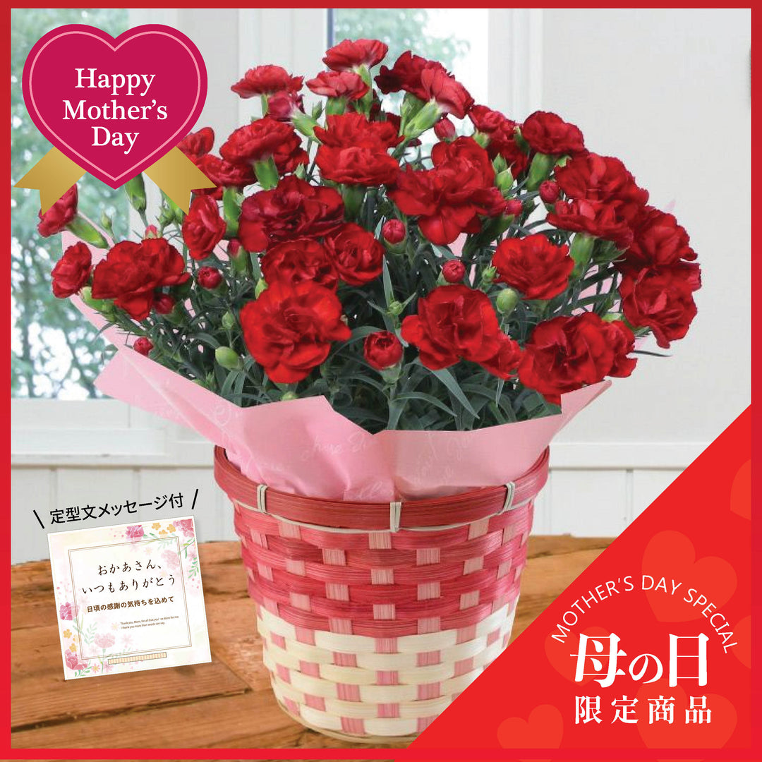 母の日ギフト – Oritz Shop