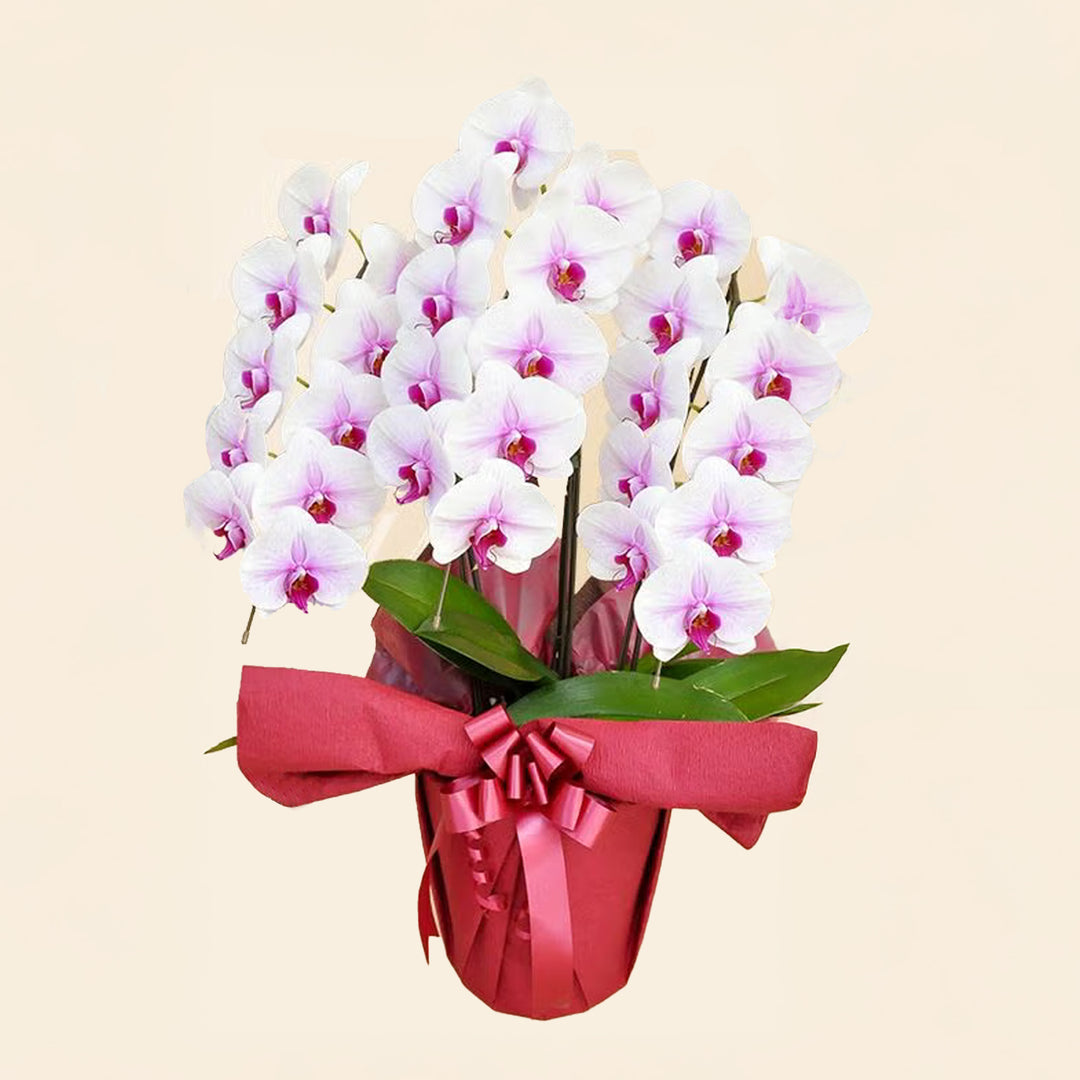 フラワー – Oritz Shop