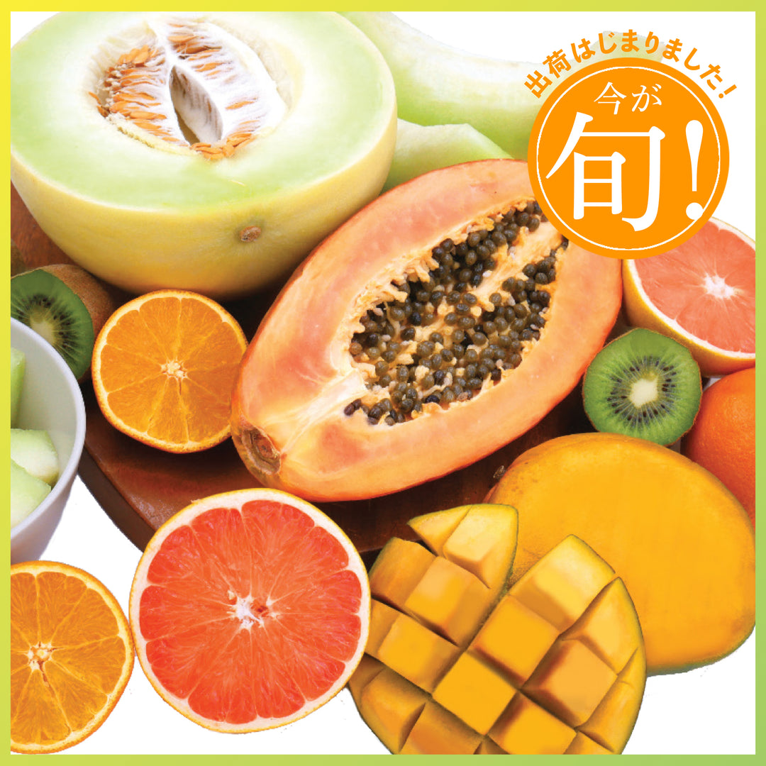 フルーツ – Oritz Shop
