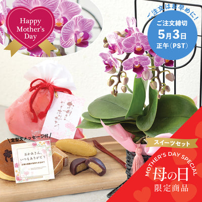 【Mother's Day Special】Midi Orchid & Sweet Potato Sweets Set