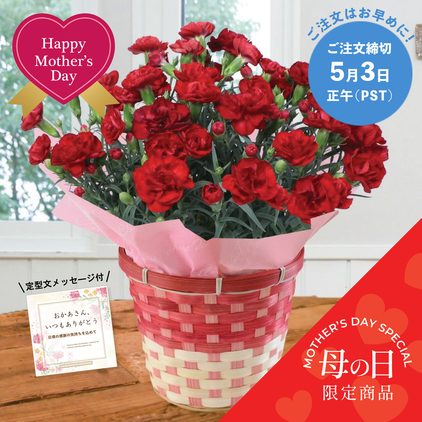 【Mother's Day Special】Premium Carnation