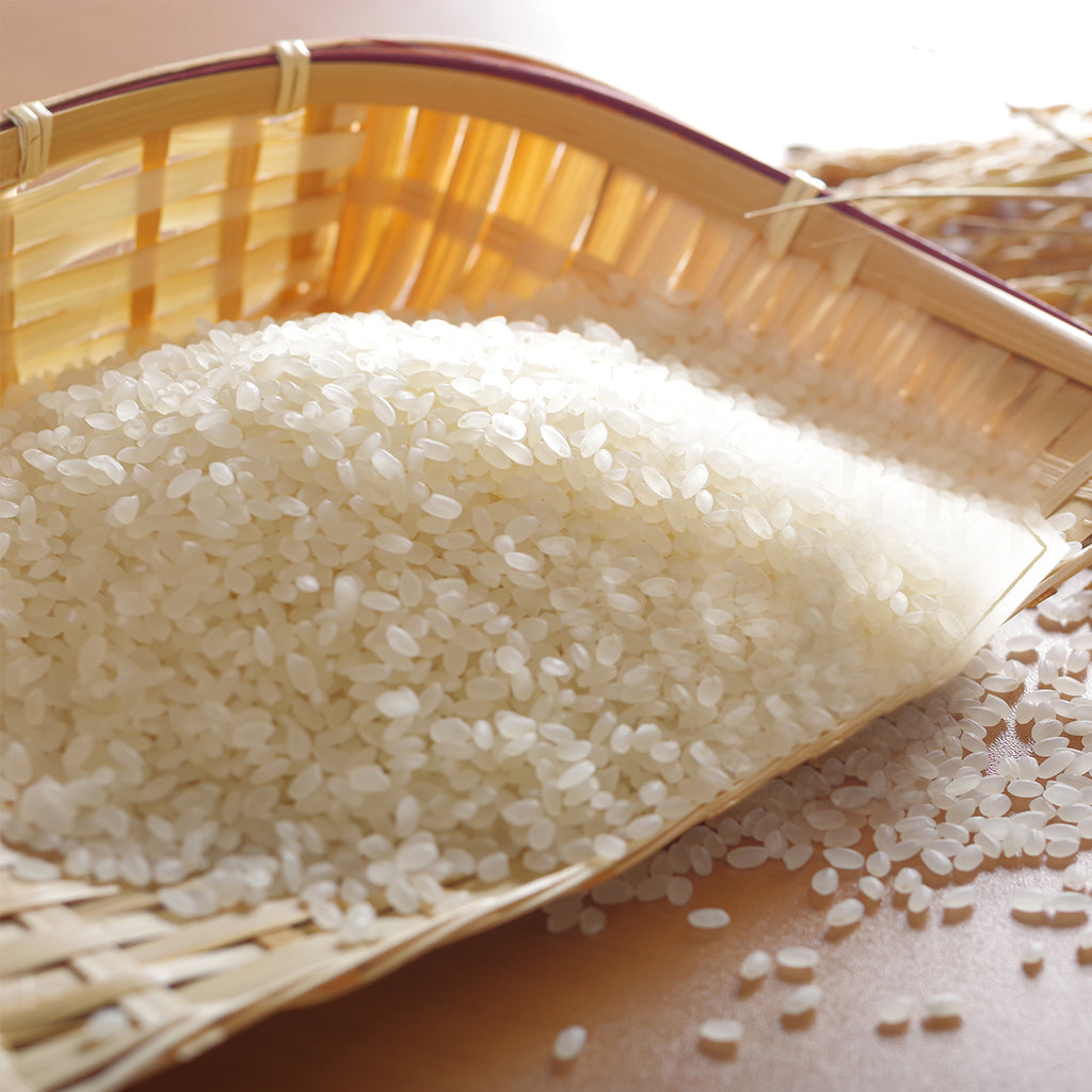 DRW_1024x1024.jpg?v=1746806785