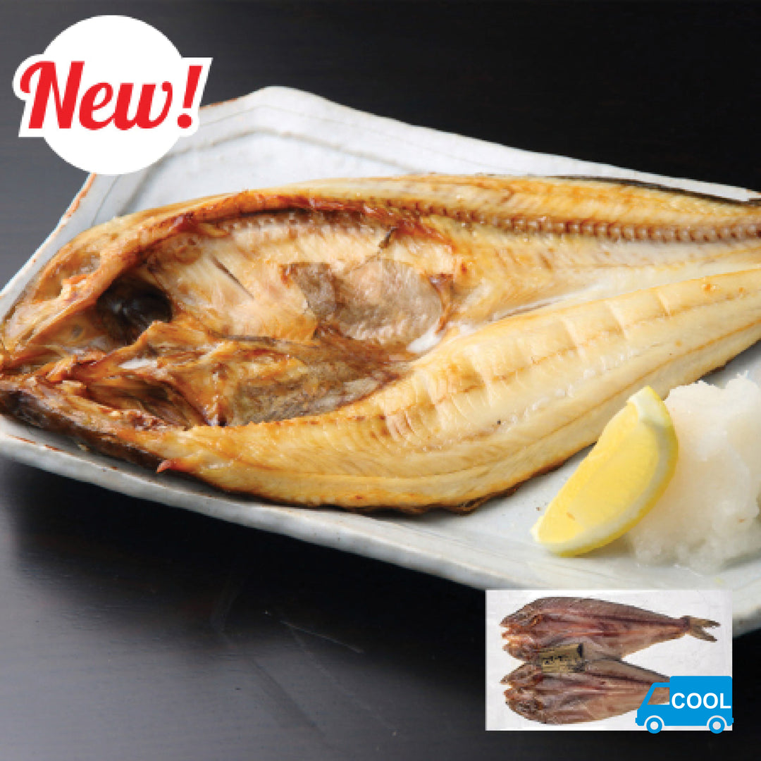 お魚 Eurotackle Z-Darter V2 | FishUSA