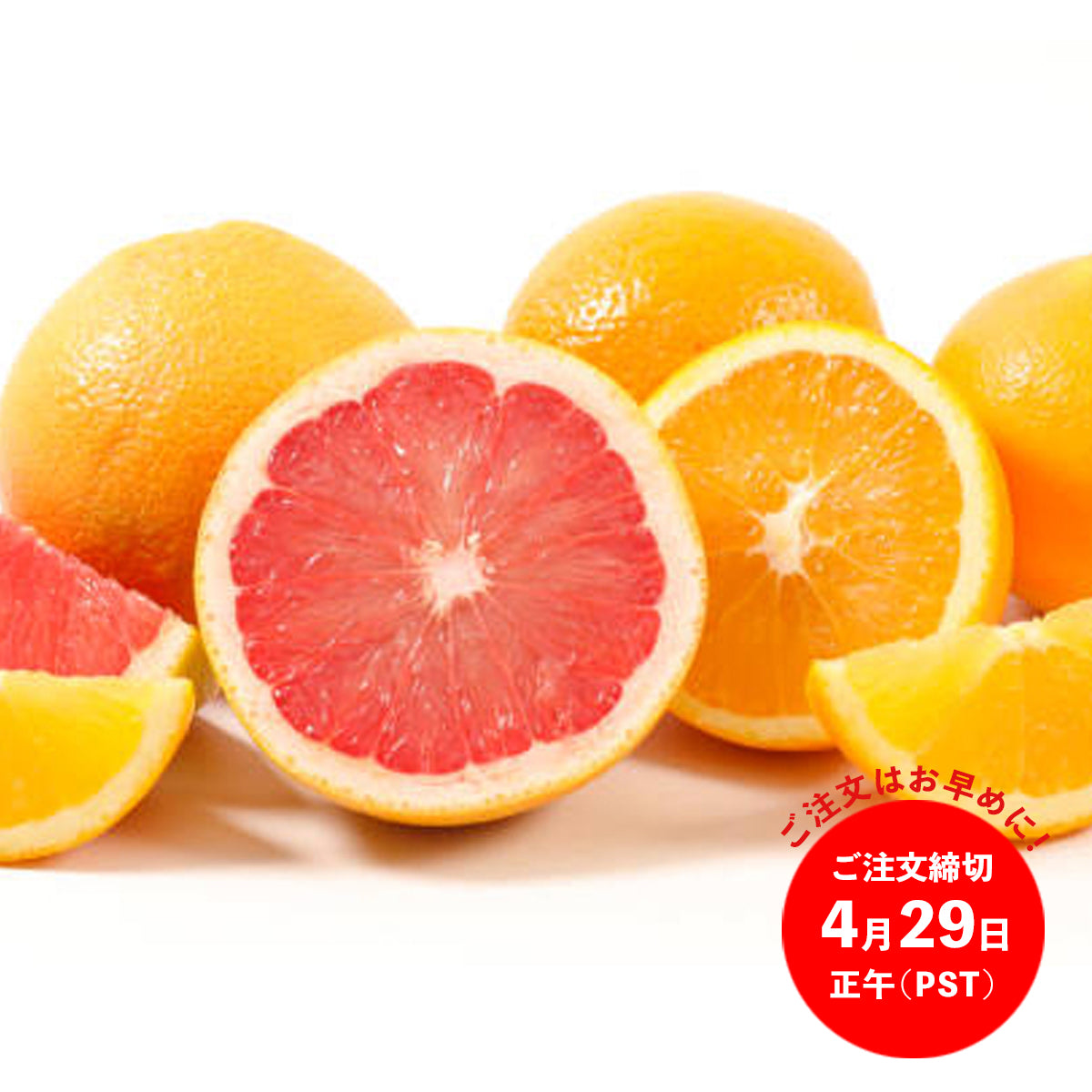 Premium Navel Orange (XL) & Ruby Grapefruit (XL) 【Seasonal】