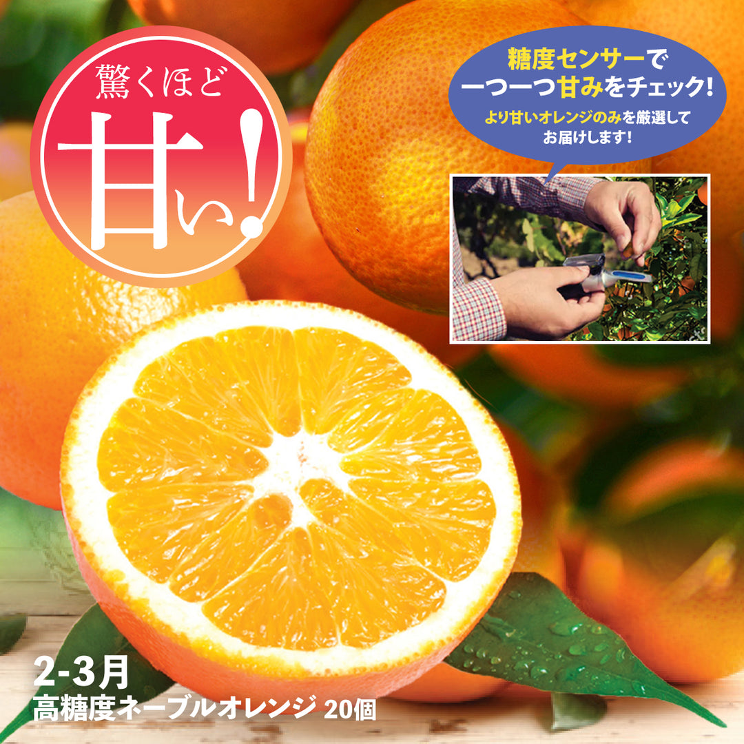 Fruit Club – Oritz Shop