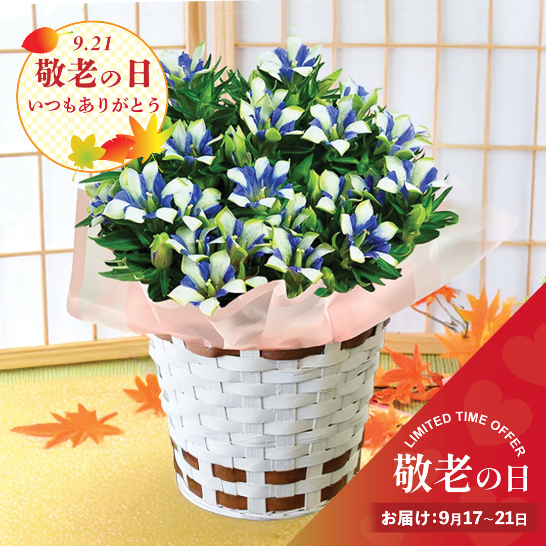 敬老の日ギフト – Oritz Shop