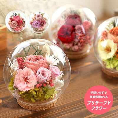 Preserved Flower Bubble Dome