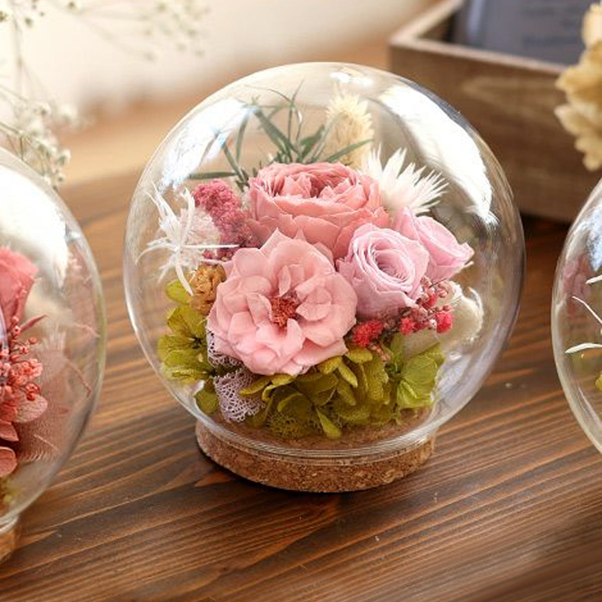 Preserved Flower Bubble Dome