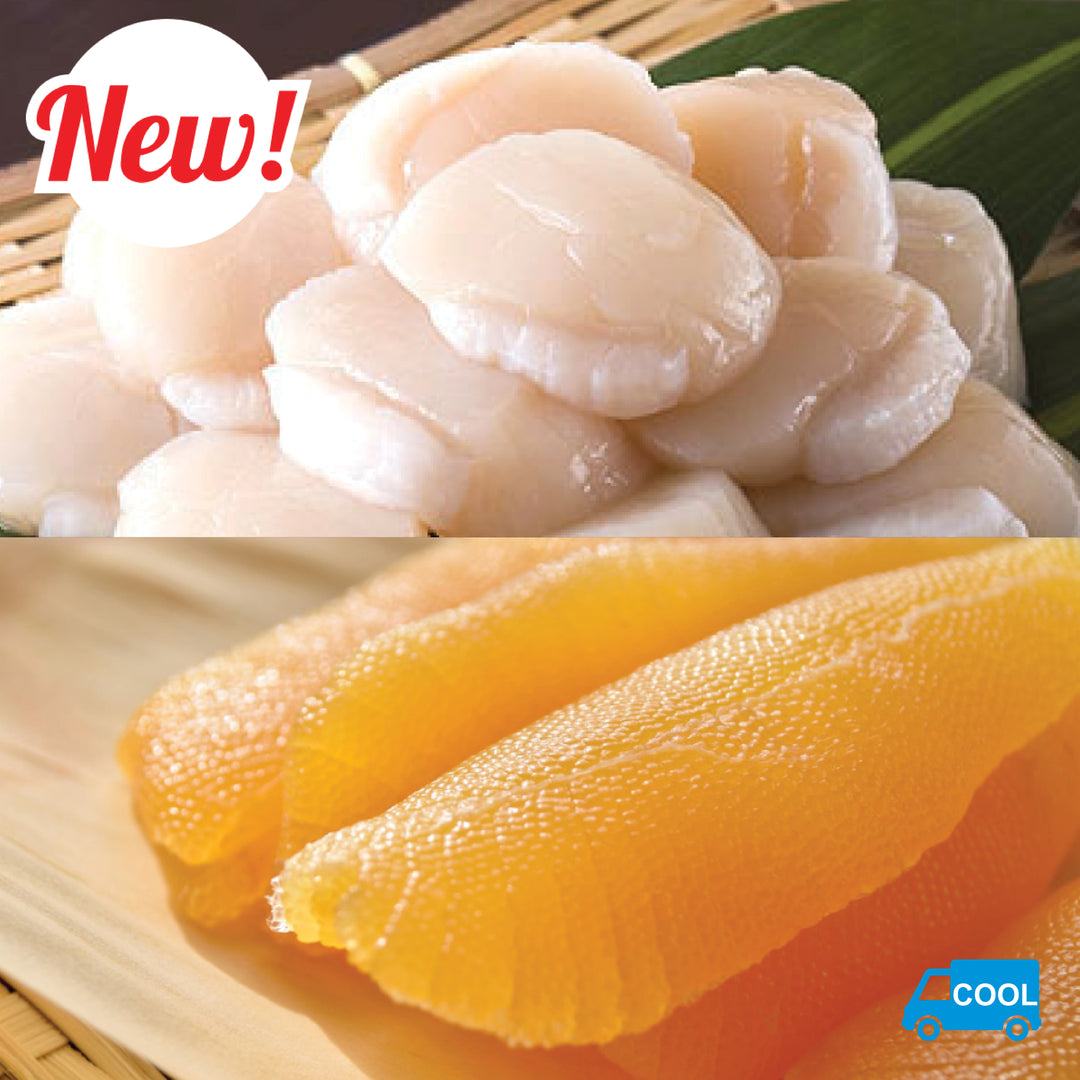 お魚 Eurotackle Z-Darter V2 | FishUSA