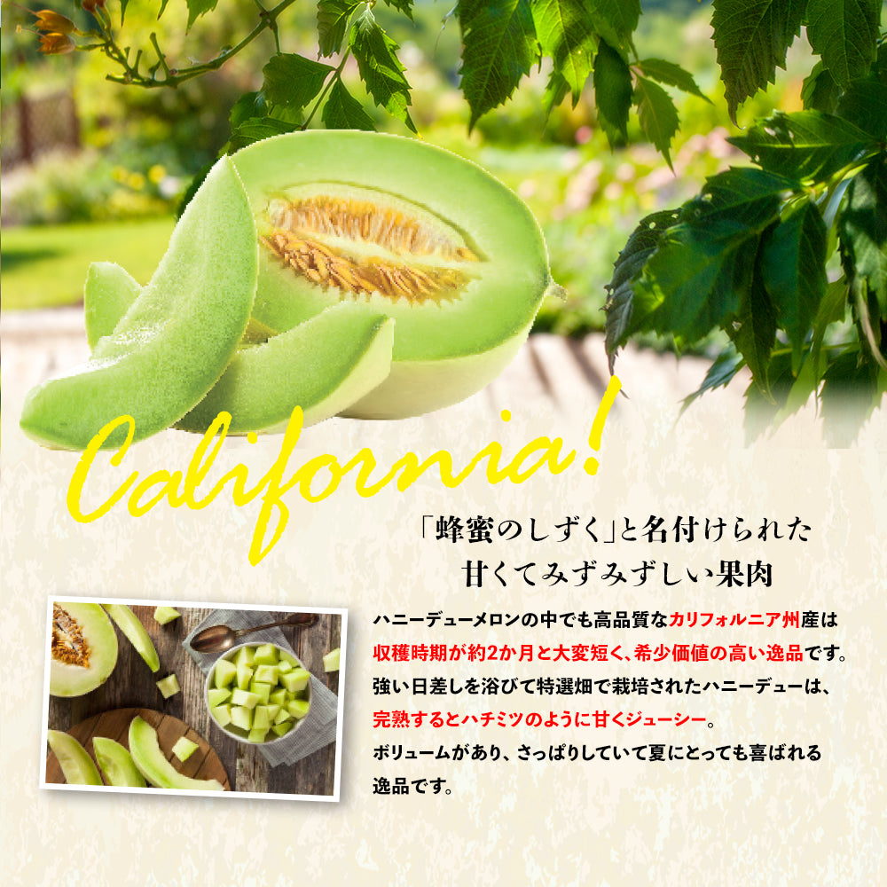 California Honeydew Melon (L)