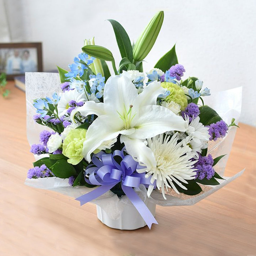 Sympathy – Oritz Shop