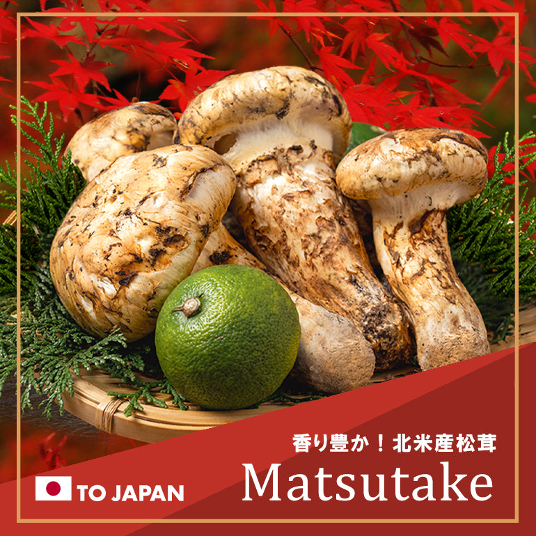 Oritz Shop | 日本へ季節の贈り物！アメリカンチェリーにお中元 送料