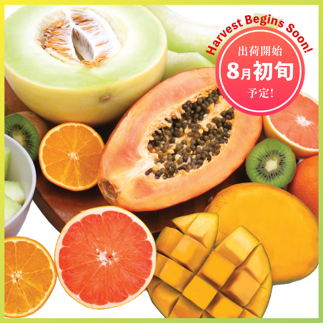 フルーツセット – Oritz Shop