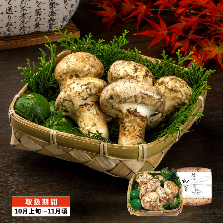 北海道　松茸　400g　① 楽天市場】【予約商品】【9月中旬－10月上旬採れ次第発送】松茸