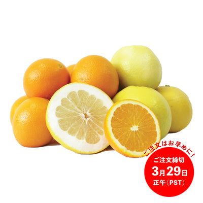 高糖度ネーブルオレンジ＆完熟オロブロンコ【2月中旬～3月】
