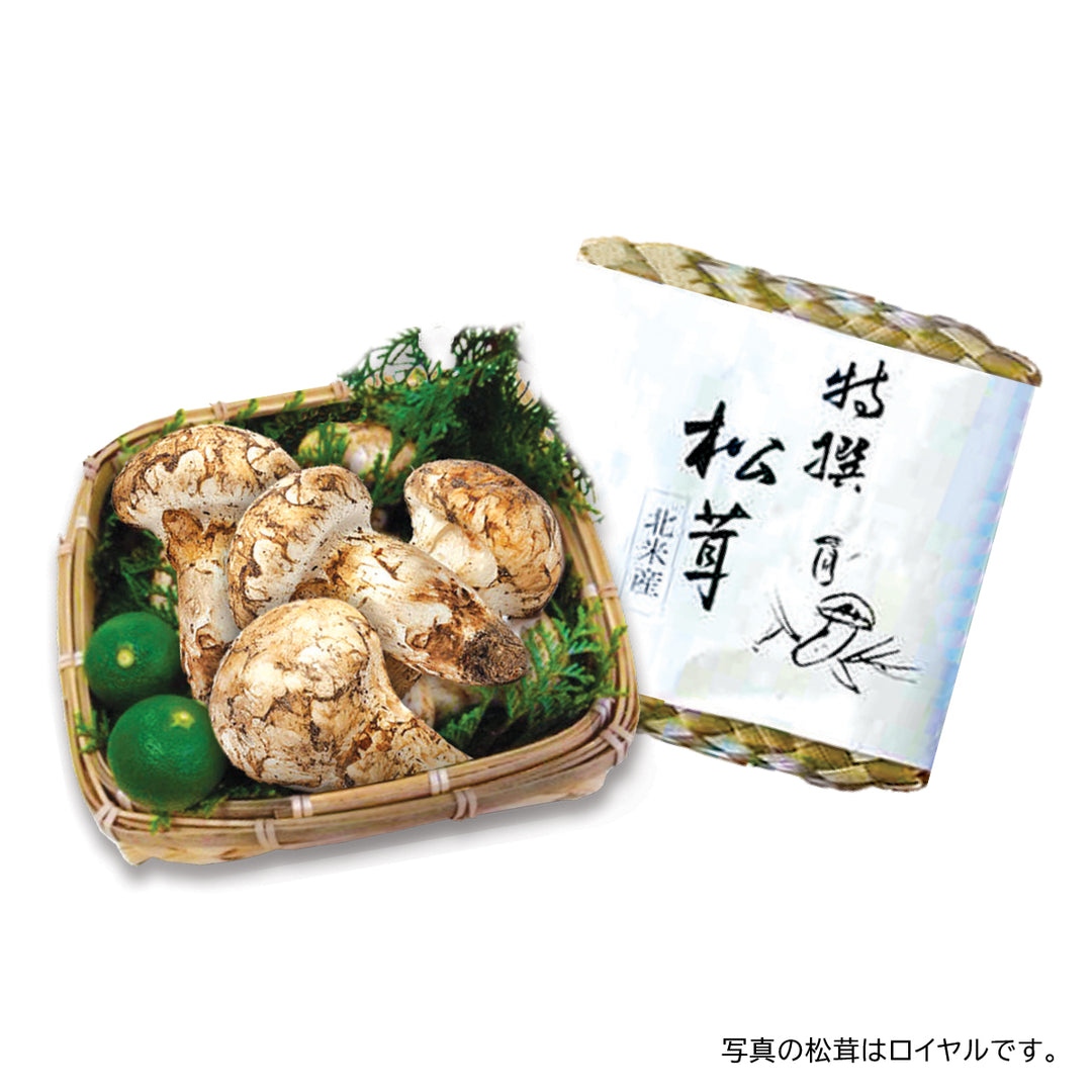 特選松茸 – Oritz Shop