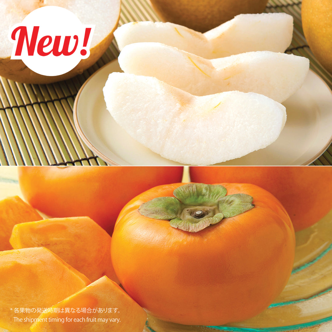 季節限定商品 – Oritz Shop