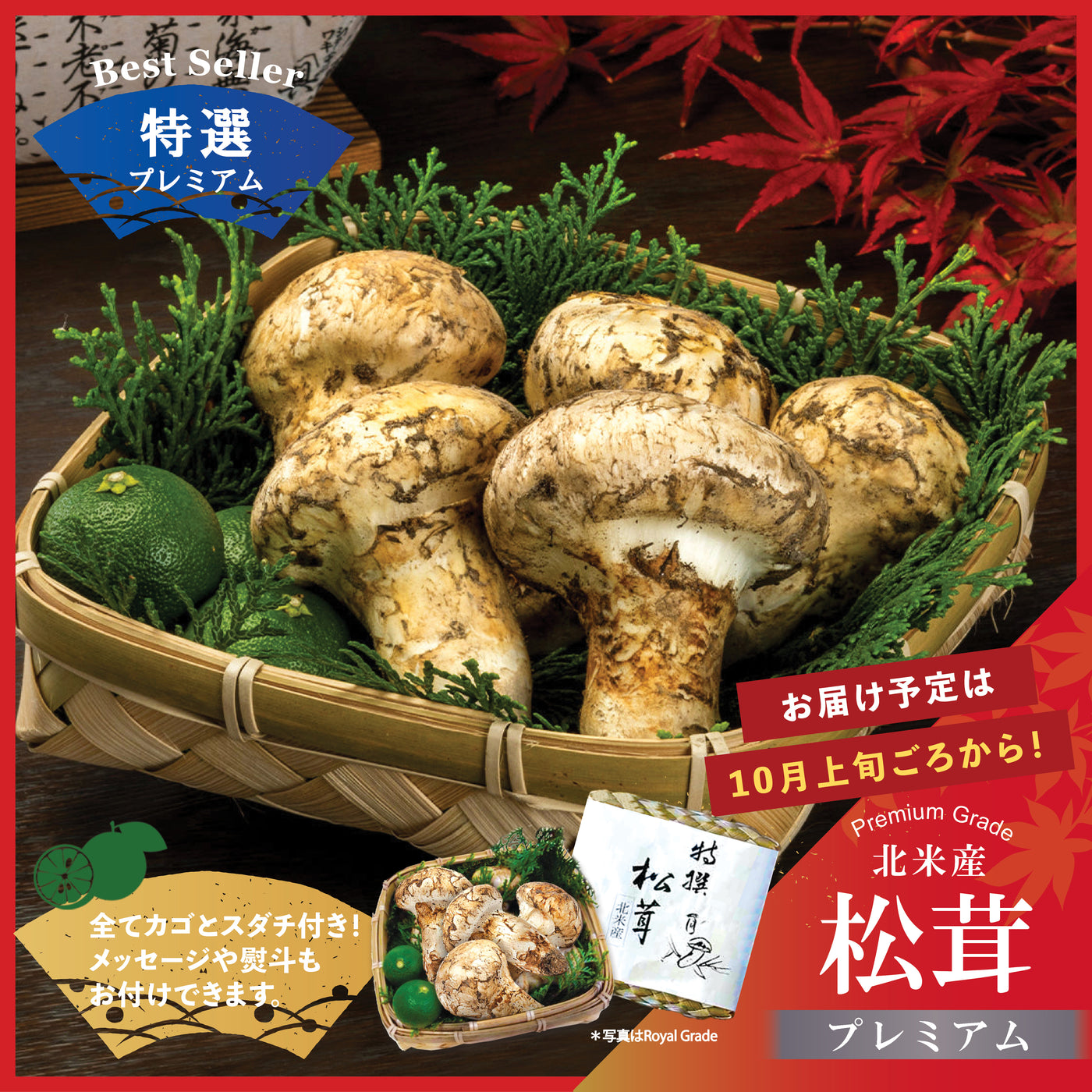 北海道　松茸　350g 特選松茸 – Oritz Shop