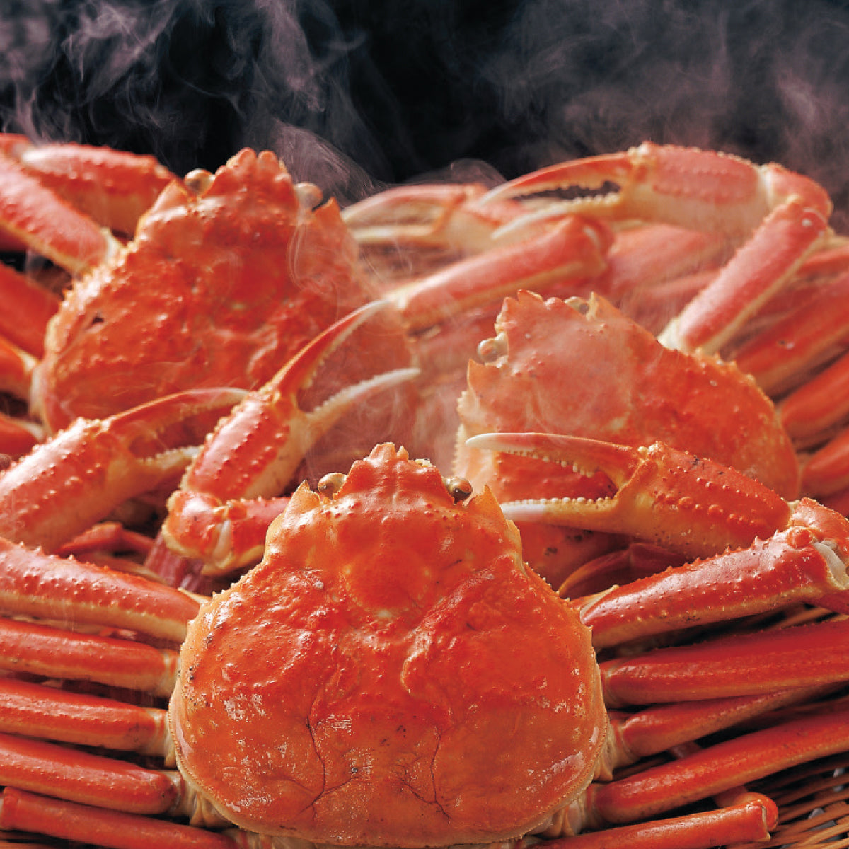Snow Crab – Oritz Shop Snow Crab – Oritz Shop