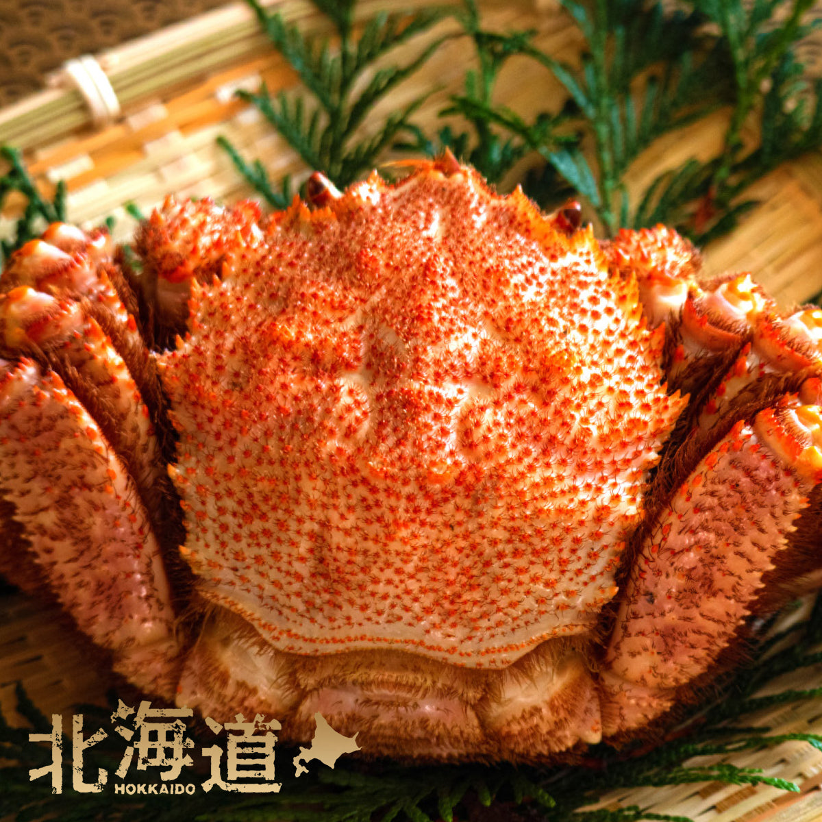 Hokkaido Boiled Horsehair Crab