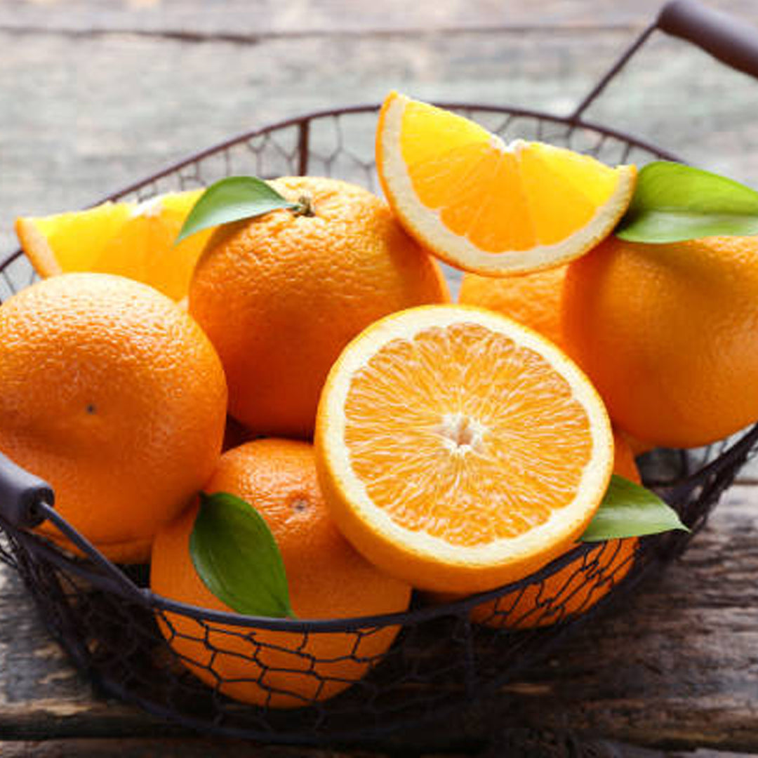 Oranges (L) – Oritz Shop