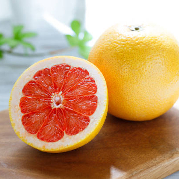 P06.1_720x.jpg?v=1663981085