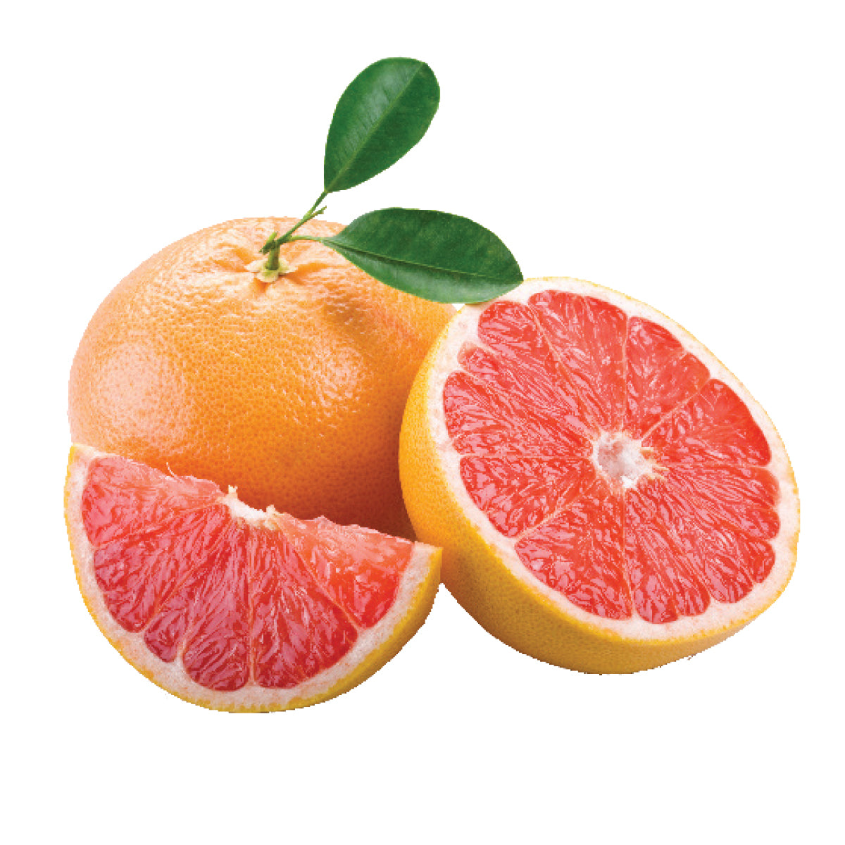 Premium Grapefruits (XL)